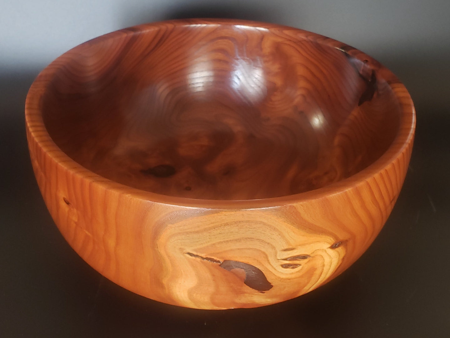 Other Russian Olive