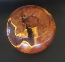 Load image into Gallery viewer, Other Russian Olive
