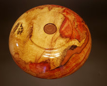Load image into Gallery viewer, Other Flame Box Elder
