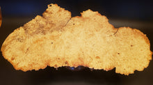 Load image into Gallery viewer, Art, Box Elder Burl Platter
