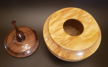 Load image into Gallery viewer, Lidded Hollow Form, Art
