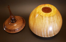 Load image into Gallery viewer, Lidded Hollow Form, Art
