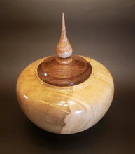 Load image into Gallery viewer, Art, Lidded Hollow Form
