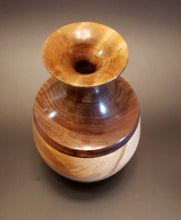Load image into Gallery viewer, Art,  Vase
