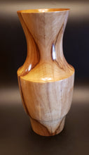 Load image into Gallery viewer, Art Vase
