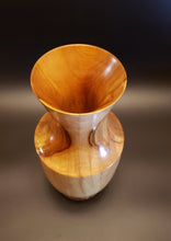 Load image into Gallery viewer, Art Vase

