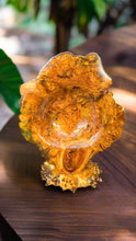 Load image into Gallery viewer, Art Buckeye

