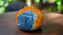Load image into Gallery viewer, Art, Russian Olive
