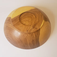 Load image into Gallery viewer, Other, Siberian Elm
