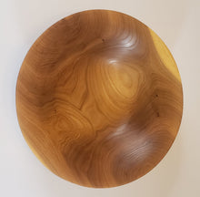Load image into Gallery viewer, Other, Siberian Elm

