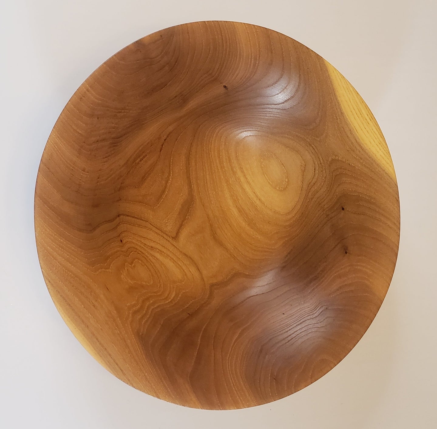 Other, Siberian Elm