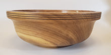 Load image into Gallery viewer, Other, Siberian Elm
